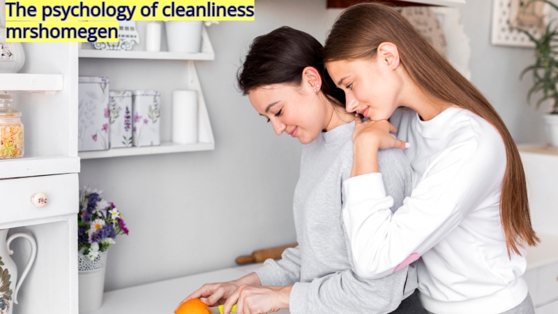 The psychology of cleanliness mrshomegen